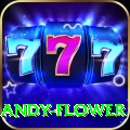 andy flower Official v2.6.4