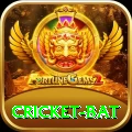 cricket bat - Gaming VIP