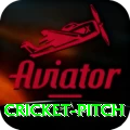 cricket pitch APK Pro v2.7.8
