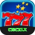 crickex - Gold v2.1.1