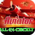 fastest ball in cricket Premium Latest v5.0.6