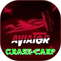 grass carp Turbo - Win Real PKR