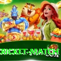 india cricket match Earn Premium v3.6.7