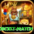 india pakistan cricket match App Turbo v2.3.8