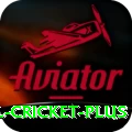 international cricket Official v1.1.8