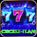 ireland cricket team PK Mega
