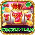 new zealand cricket team Plus - Win Real PKR