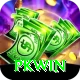PKWin Pro1 v3.2.2