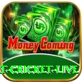 smart cricket live Games Turbo