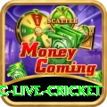smartcric live cricket Slots Pro v2.8.5