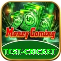 test cricket Plus Pakistan
