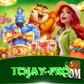 tojay Prime Latest v1.6.9