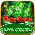 watch live cricket Mobile Champion